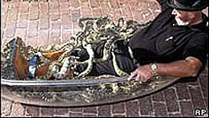 Omul Şarpe din Texas, în cadă cu 87 de şerpi cu clopoţei