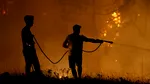 Franța: Inițiativă majoră de regenerare a pădurii Fontainebleau afectată de incendii, după modelul Catedralei Notre-Dame