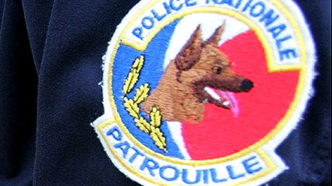 Câinii poliţişti din Paris vor fi echipaţi cu şosete