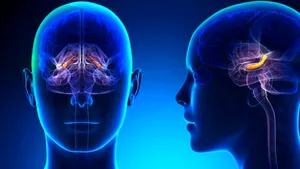 Creiere umane crescute în spaţiu pentru tratamente inovatoare împotriva Alzheimer şi Parkinson