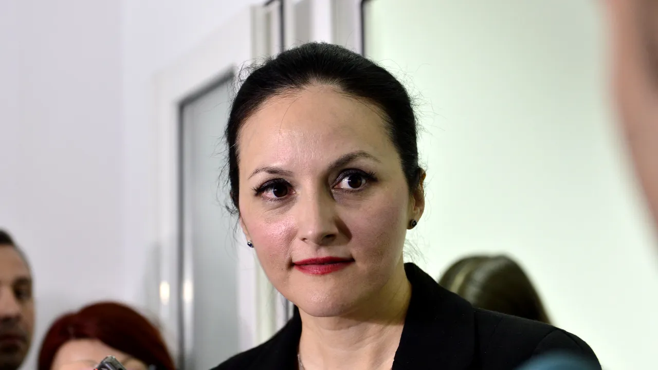Magistraţii Înaltei Curţi rejudecă, luni, apelul în dosarul în care Alina Bica a fost condamnată la 4 ani de închisoare