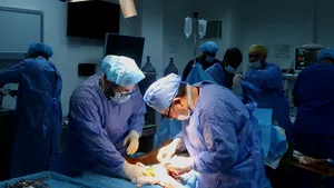 Descoperire revoluţionară în lumea medicală: Cum poate fi păstrat un ficat în stare vie, în afara corpului uman, timp de 7 zile