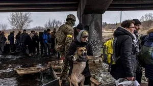 O instituţie importantă din Europa a descoperit „indicii clare” privind încălcări ale dreptului umanitar în Ucraina