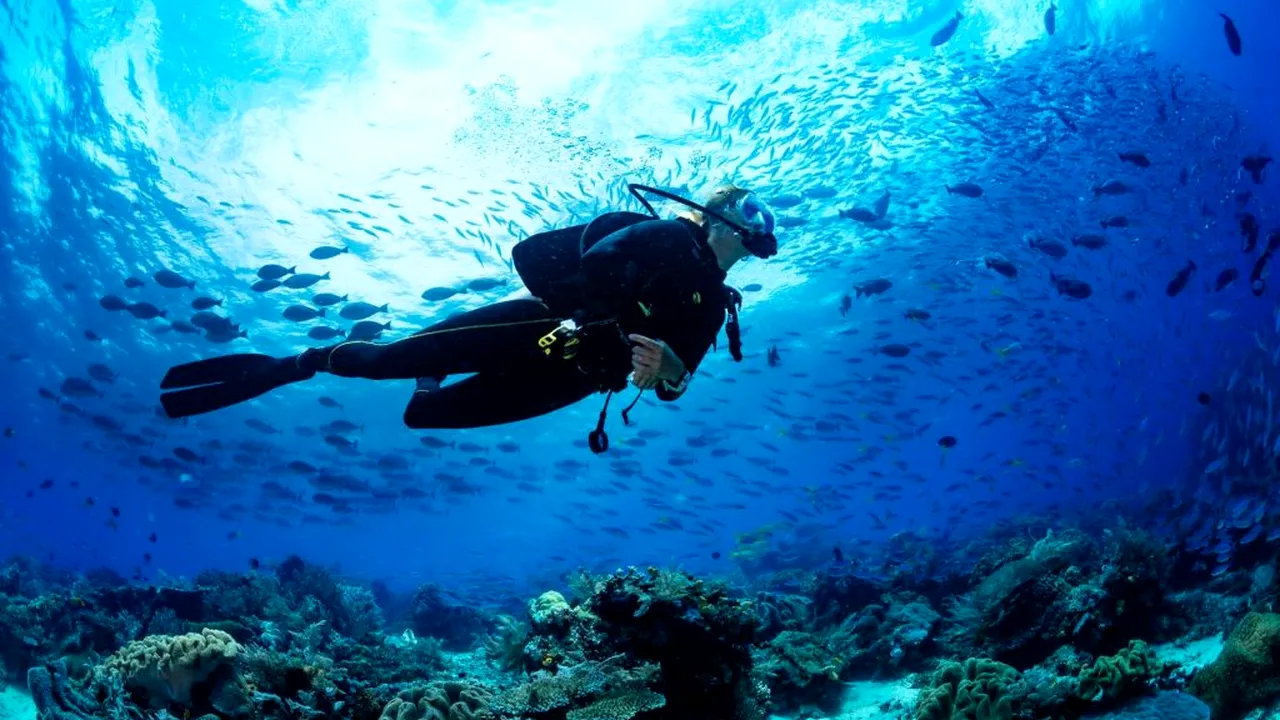 Accident la diving în Maldive: cinci italieni și-au pierdut viața. 112 turiști au pierit în incidente maritime în ultimii 6 ani