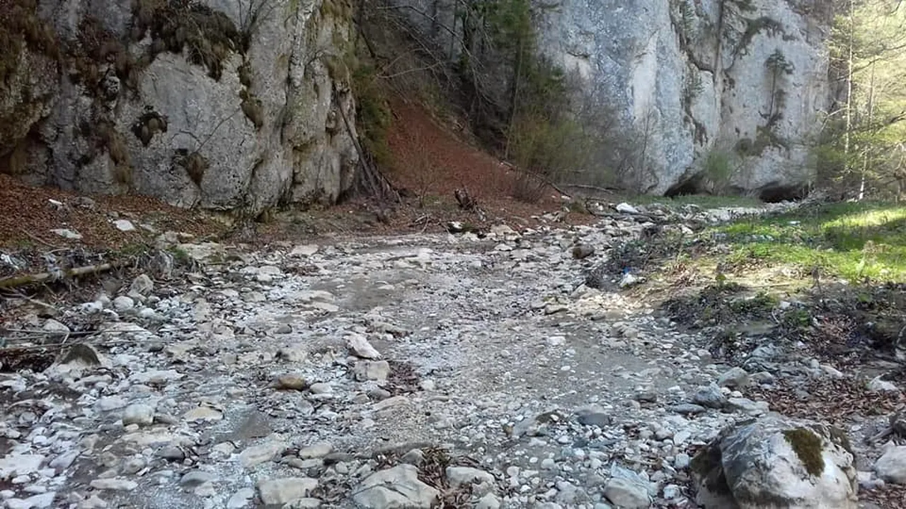  „Lăcomia, hoţia şi batjocura lasă un râu emblematic fără apă!”. Imagini cu Dâmboviţa secată atrag atenţia ecologiştilor 