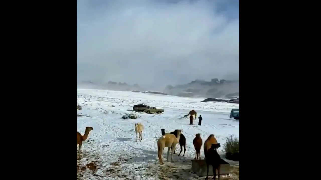 VIDEO | Fenomen meteo extrem în Arabia Saudită: nisipul deşertului, acoperit cu un strat de zăpadă. Imagini spectaculoase