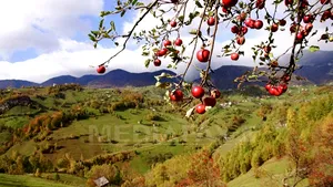 VREMEA până pe 12 octombrie. Ce temperaturi vor fi şi cât va ploua în fiecare regiune a ţării