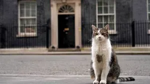 Pisica Larry rămâne șefa în Downing Street. Premierul UK nu își aduce câinele Axel la reședință