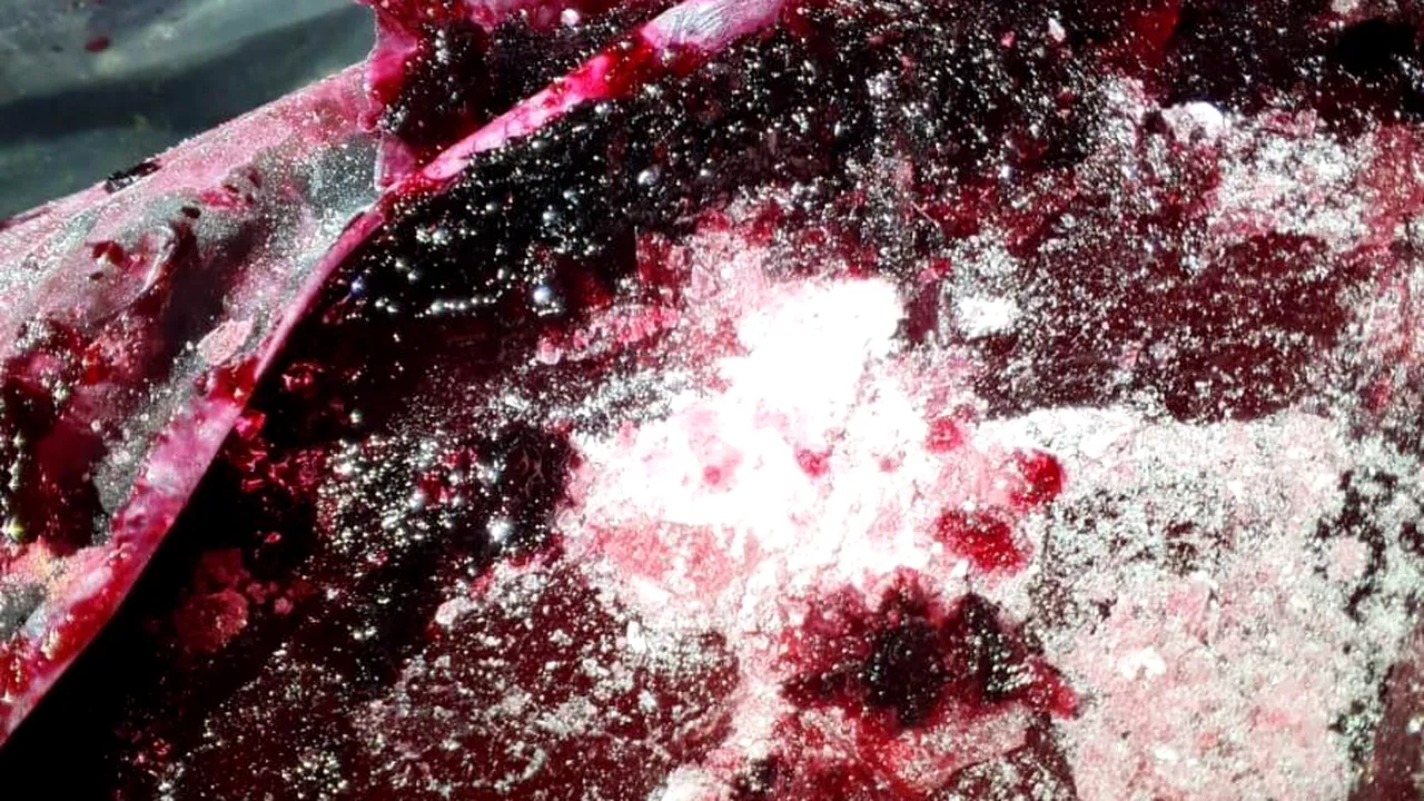 Captură record de cocaină în portul Constanţa. Drogurile erau ascunse în fructe congelate