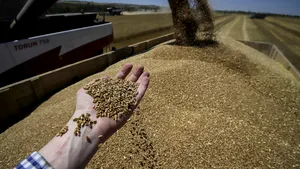 UE loveşte pentru prima dată sectorul agricol din Rusia. Vor fi impuse tarife la importurile de cereale pentru a-i calma pe fermierii din Europa de Est