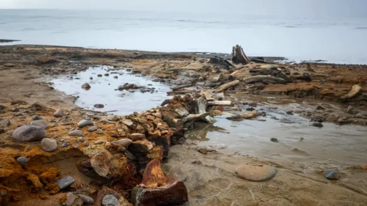 Cimitir străvechi de balene, descoperit sub un ghețar arctic în retragere