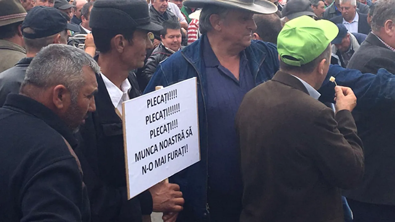 Câteva mii de crescători de ovine şi bovine au protestat în Capitală. 