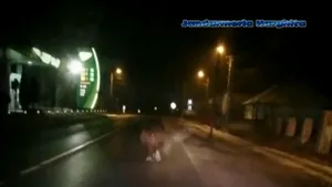 VIDEO. Urs alungat de jandarmi de lângă o benzinărie din Harghita / A fost emis un mesaj Ro-Alert 