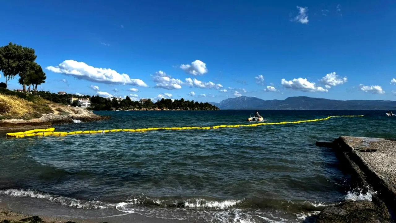Măsură neobișnuită în Grecia: bariere plutitoare pentru a opri un pește toxic