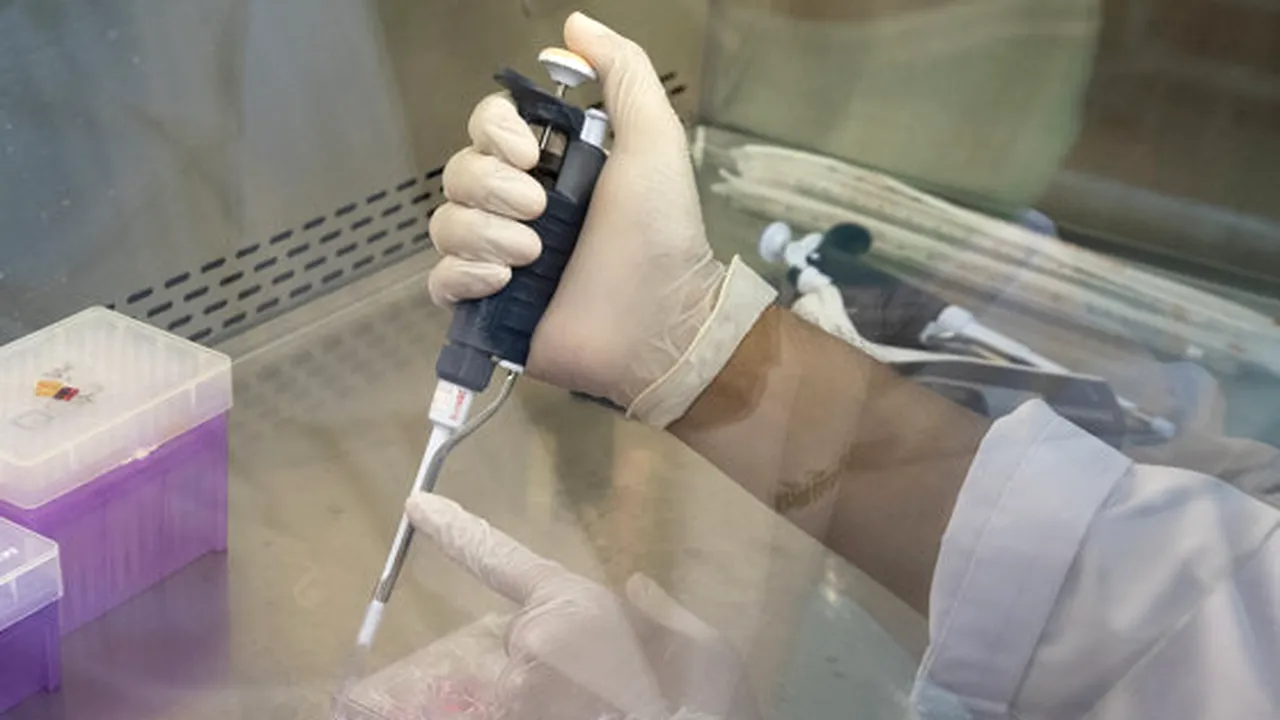 Coronavirus în România, 14 noiembrie 2021. Peste 3.000 de cazuri noi. Număr mare de decese. Bilanţ complet COVID