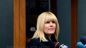 Avocat: Este decizia procurorului DNA dacă va face confruntare între Udrea şi denunţători