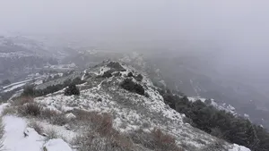 METEO. Avertizări ANM: Cod galben de vânt puternic în cinci judeţe din ţară