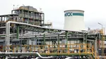 Reuters: Rusia va opri livrările de petrol din Kazahstan către Germania prin conducta Drujba