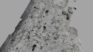 Urme de paşi fosilizate, găsite în Kenya, demonstrează coexistenţa a două specii umane străvechi