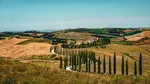 Și-a stricat vacanța în Toscana. Un turist străin a fost denunțat pentru presupuse crime de război în Gaza