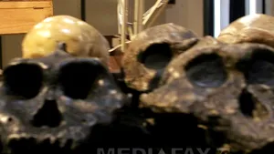 Homo erectus nu era singur. Alte două specii de hominizi au trăit în aceeaşi perioadă