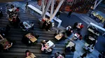 Toate mall-urile din România obligate de ANPC să facă deratizare de urgență