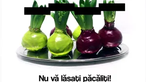 SRI revine cu o urare inedită şi de mărţişor: ”Nu vă lăsaţi păcăliţi”