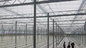 Cea mai mare seră din România, inaugurată în Timiş: Roşiile cresc în coajă de nucă de cocos | GALERIE FOTO 