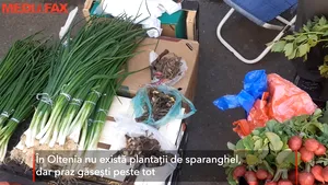 În Oltenia nu se cultivă sparanghel, dar o altă planta este populară: 