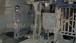 Peste 5.000 de angajaţi ai Complexului Energetic Oltenia, la un miting de protest faţă de posibile reduceri de salarii