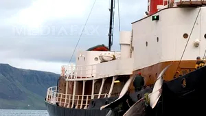 Islanda renunţă la integrarea în Uniunea Europeană: 