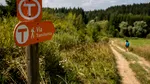 MedLife devine partener de sănătate și wellbeing în proiectul Via Transilvanica, „drumul care unește”