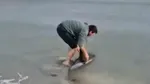 Un delfin eșuat pe o plajă din Eforie, salvat de un tânăr. „Omul bun, la locul potrivit!”
