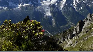 Şapte alpinişti au murit în urma unei avalanşe produse în Alpii francezi