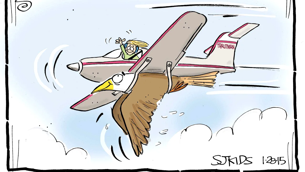 COMENTARIU Lelia MUNTEANU: Pe pilot automat