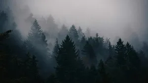 Cod galben de ceață în centrul și în nord-vestul României. Localitățile vizate