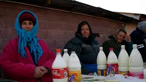 Ţăranii pot să vândă lapte şi ouă în pieţe de la 1 februarie numai dacă sunt înregistraţi la ANSVSA