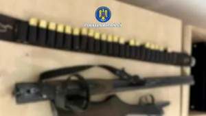 Un bărbat din Constanța, arestat preventiv după ce a împușcat un câine. Bărbatul era băut