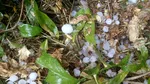 Alertă meteo! Ploi de până la 50 l/mp, descărcări electrice, vijelii şi grindină