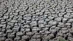 Peste 100 de milioane de oameni riscă foametea. Experții indică două cauze majore: El Niño și războiul din Iran