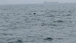Mină marină, observată în largul Mării Negre, la 20 de kilometri de Sulina