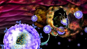 Medicina viitorului: Nanoparticulele ar putea fi folosite cu succes împotriva cancerului