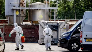 Aproape 100.000 de nurci vor fi sacrificate în Spania după ce au fost confirmate pozitiv cu Covid-19

