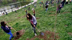 Doar 43 de copii, adoptaţi într-un an în Bucureşti. În parcul Tineretului, pentru fiecare copil care a intrat într-o familie a fost plantat un pom