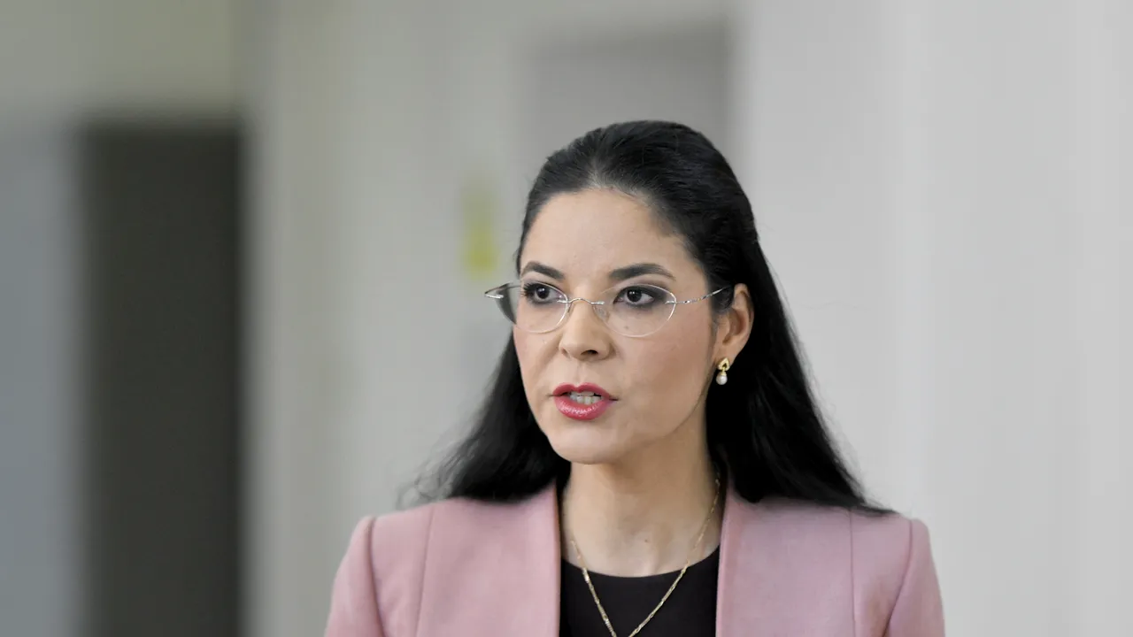 Comisia MCV, convocată pentru prima dată. Ana Birchall: Am stabilit ca într-o lună să avem un draft al planului de acţiune