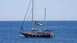 Avertisment pentru Greta Thunberg din partea Israelului: „Întoarceți-vă, nu veți ajunge în Gaza”