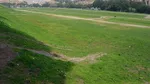 Scenariu demn de Kafka la Roma: A parcat pe linie albă și s-a întors la o amendă pe linie albastră