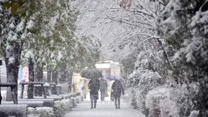 Cel puţin un mort şi aproape 900 de răniţi în urma ninsorilor din estul Japoniei