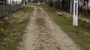 Oprescu: Procentul străzilor de pământ din Capitală va scădea de la 23 la sută la 3 - 4 la sută