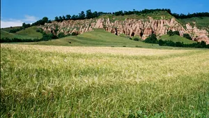 Primăria Sebeş vrea bani de la Compania Naţională de Investiţii pentru a realiza lucrări de infrastructură spre rezervaţia naturală Râpa Roşie